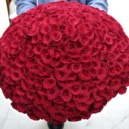 401pcs Red roses bouquet