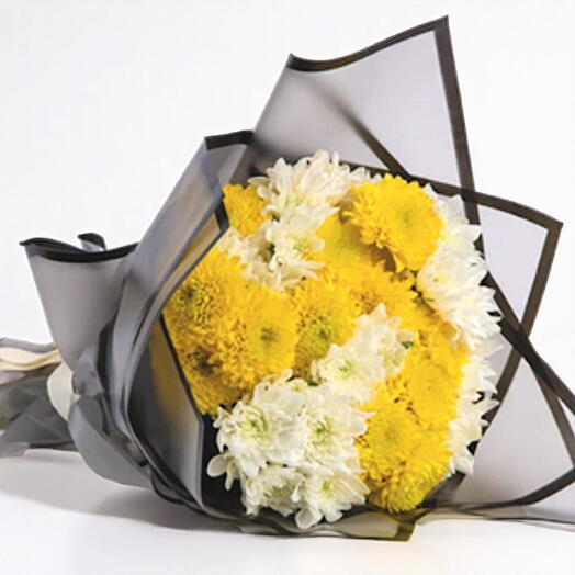 Chrysanthèmes Fleurs Fraîches