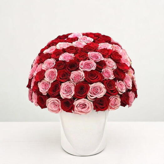 Amour béat : harmonie de roses roses et rouges dans une boîte élégante blanche