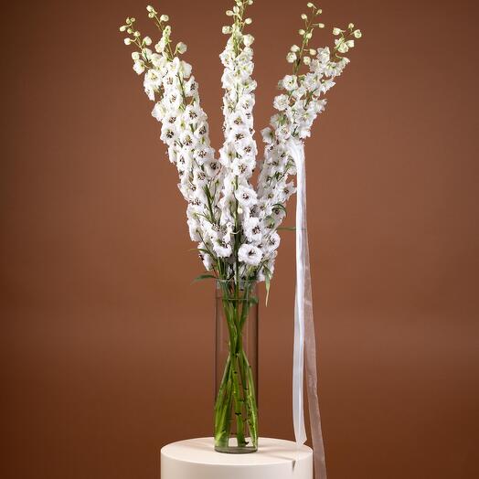 Дельфиниум White Crema