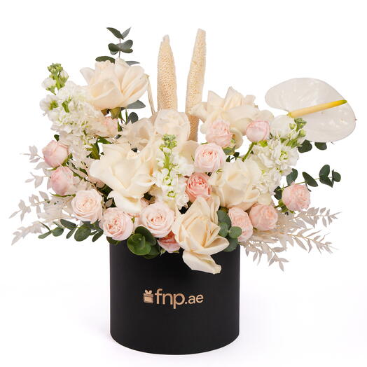 Белая   Розовая Гармония Нуар Коробка