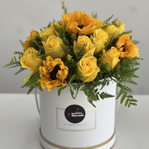 Солнечная коробка