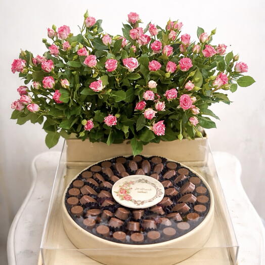 ستاند شوكولا وزهور طبيعية