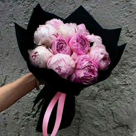 Piones 15 "كرات آيس كريم"