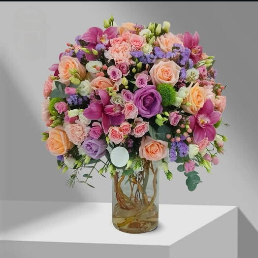 Специальный 031