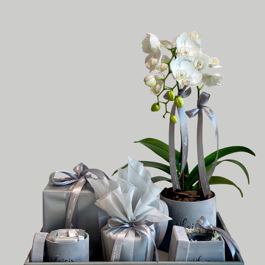 Роскошный подарочный набор в подносе - серый