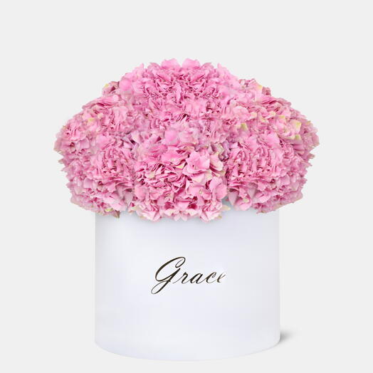 Pink Hydrangea in Extra-Large Box