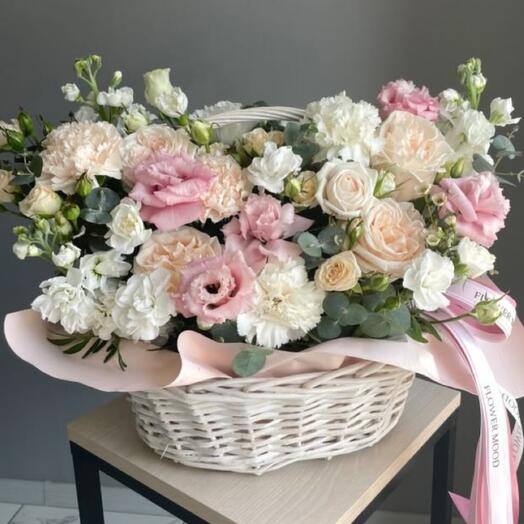 Mini Garden For Get Well Soon