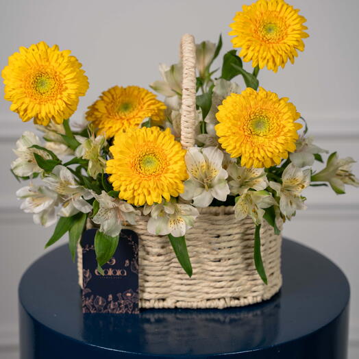 Sunny Daisy Basket
