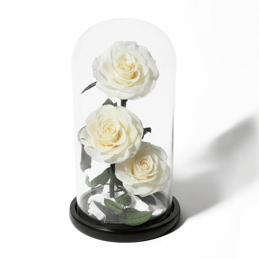 Infinity Trio- White