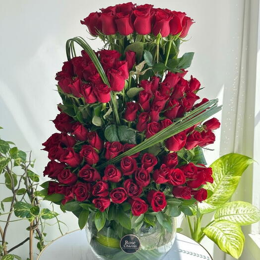 Ravishing Crimson Cascade Red Roses