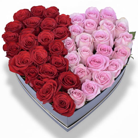51 Red and Pink Rose in Heart Box- valentine Collection