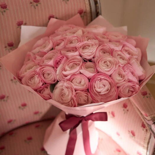 Pink   Ranunculus