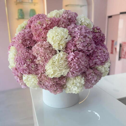 Hydrangea bouquet