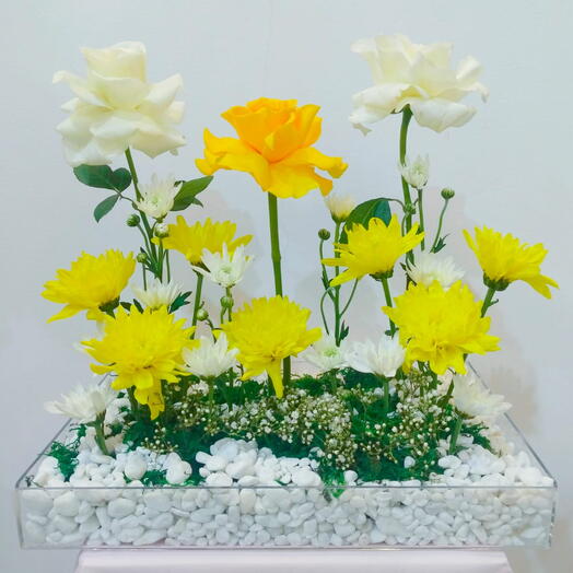 Волшебный жёлтый поднос