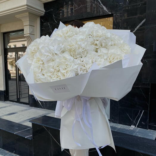 Mono white hydrangea