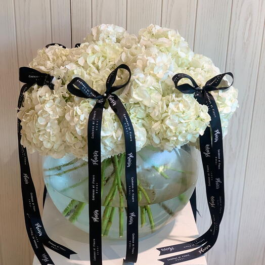 Белые гортензии для соболезнования