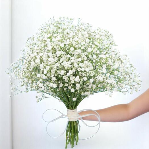 Пучок гипсофилы