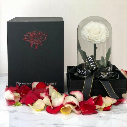 Вечная белая стабилизированная роза в стеклянном куполе – вечный белый подарок для особых моментов