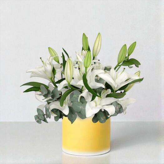 Лилии в коробке