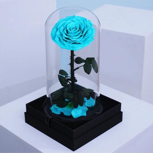 Мечта Тиффани