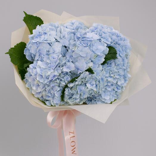 Hydrangea blue bouquet