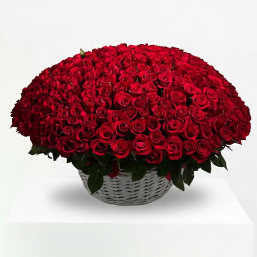 300 Red Roses Big Basket