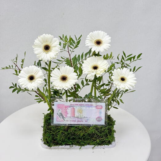 Money arrangement khr7