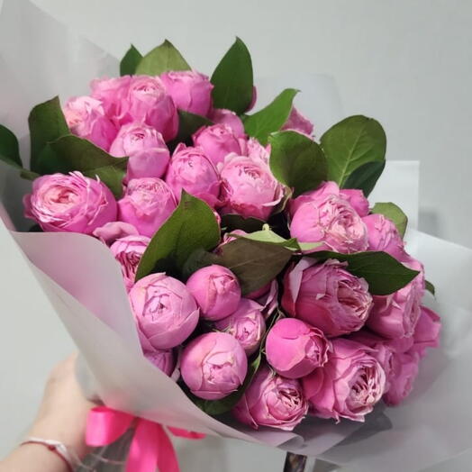 Piones bebe rose (15pic)