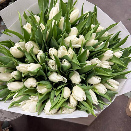 Mother s Day 51 white tulips