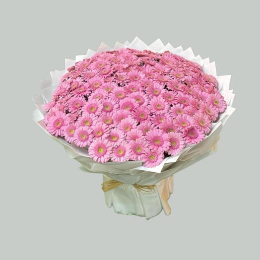 151 Pink Gerbera Grand Bouquet