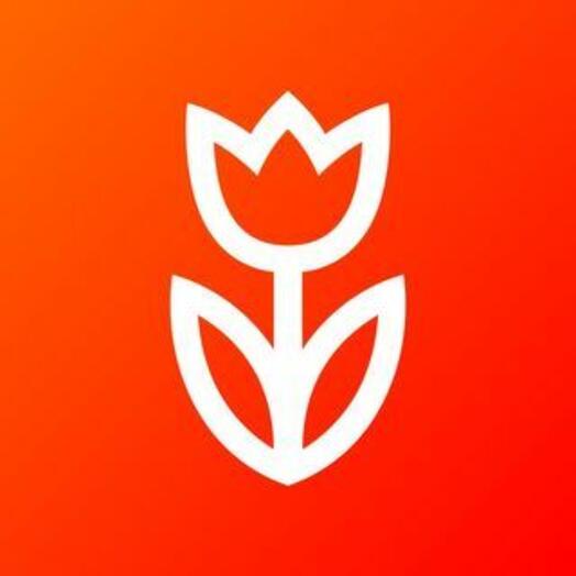 Test product