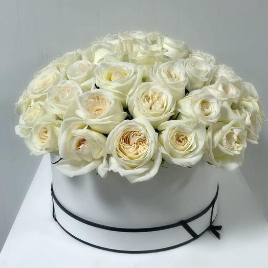 Ohara roses in a box