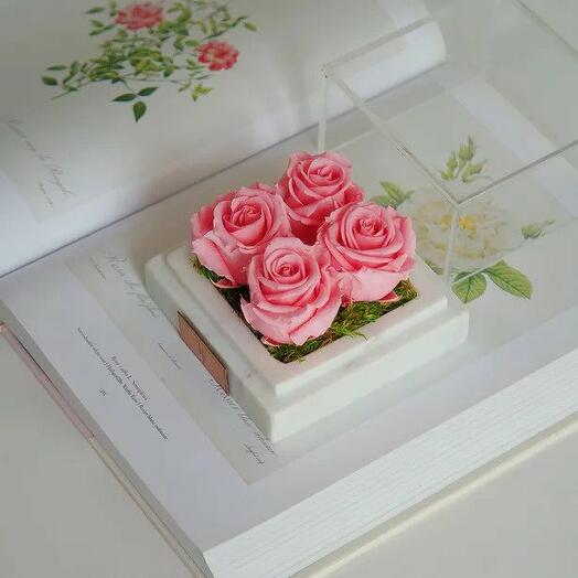 Marble Pink Infinity Quatro