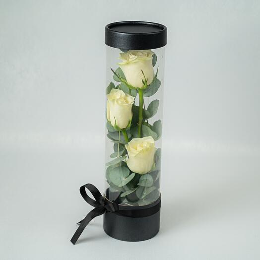 Rosa de color amarillo claro Fuse - 5482