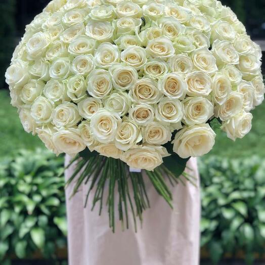Bouquet de 201 roses blanches