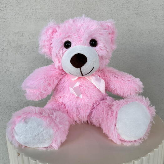 Pink Teddy Bear