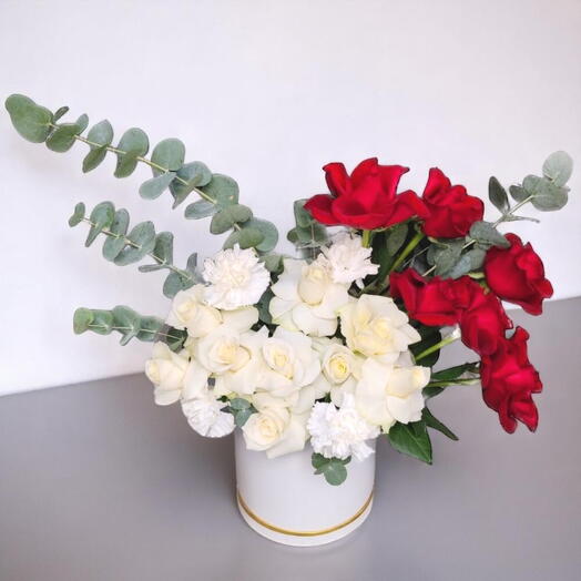 Elena box arrangement