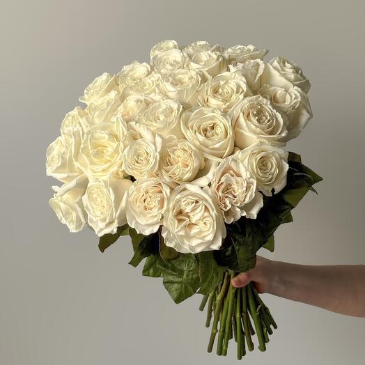 Rosa blanca (30 uds)