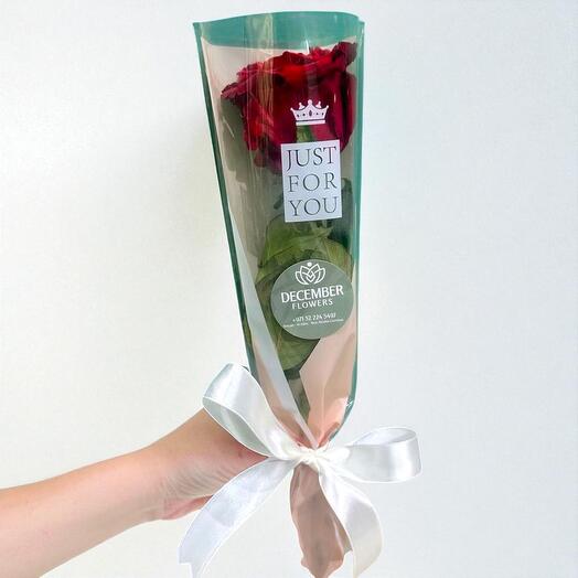 Single Rose Bouquet – Elegant Mono Flower Gift | December Flower UAE