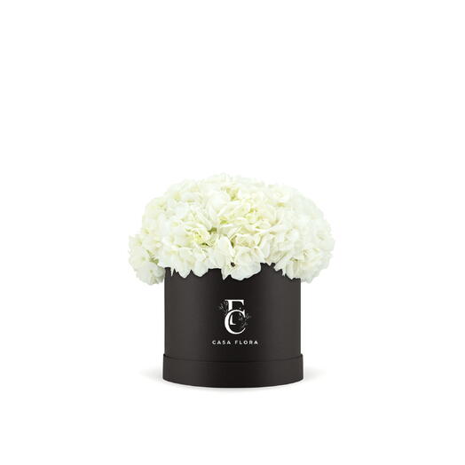 Белые гортензии, коробка B, большая