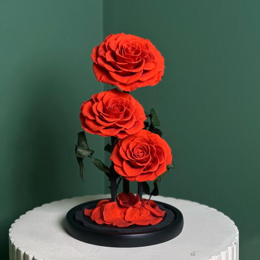 Трио стабилизированных роз Космический оранжевый