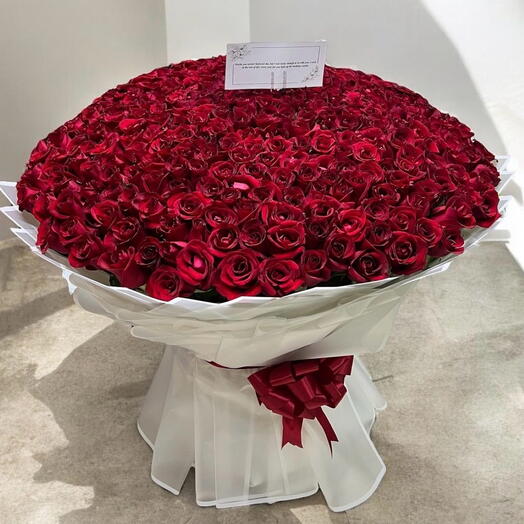 Букет XL из 101 премиальных красных роз