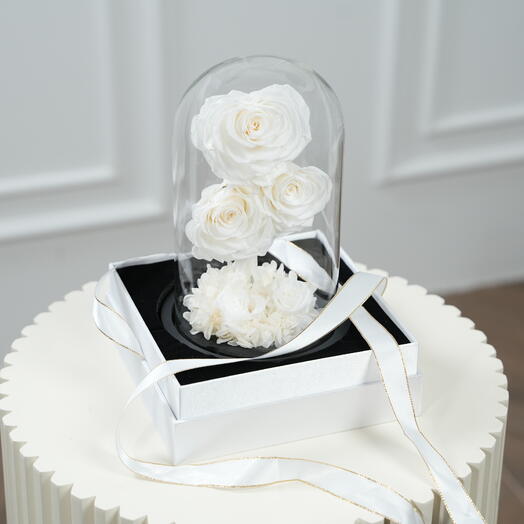 Fellora Premium White Infinity Roses  7542