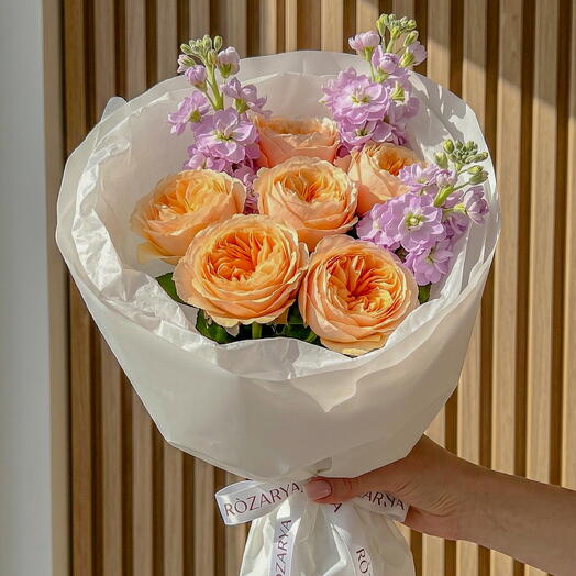 Peach   Lavender Meadow: The Scented Garden Rose   Matthiola Luxe