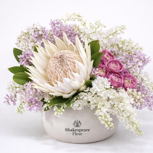 بروتيا الملك الفاخرة الاصطناعية