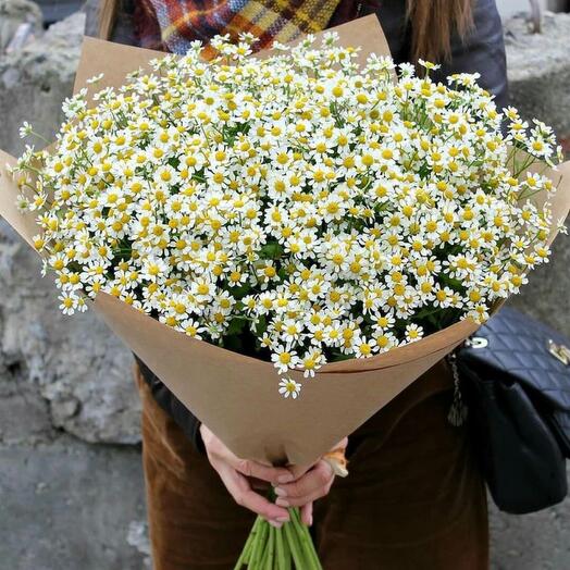 25 Stems Of Daisy-1261