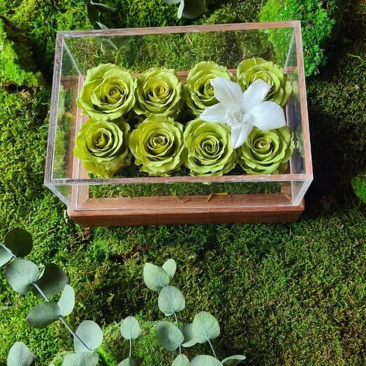 Зелёный Инфинити Очо