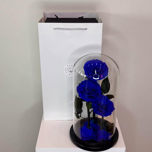 Rosa Eterna Azul Oscuro (3 Tallos)