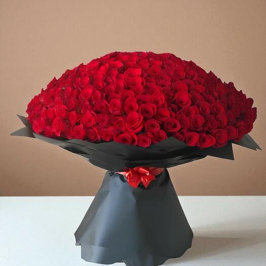 365Pcs Red Roses Bunch